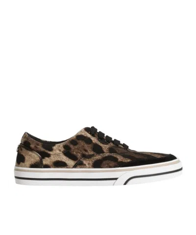 Dolce & Gabbana Leonew Sneaker In Multi