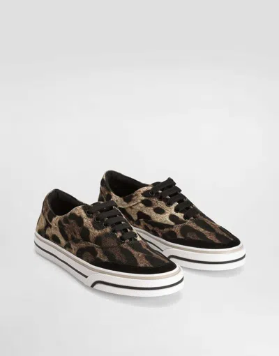 Dolce & Gabbana Leonew Sneaker In Multi