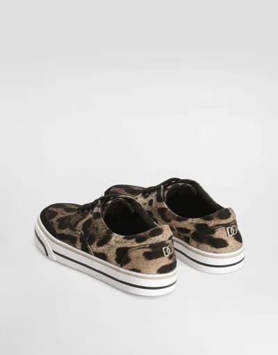 Dolce & Gabbana Leonew Sneaker In Multi