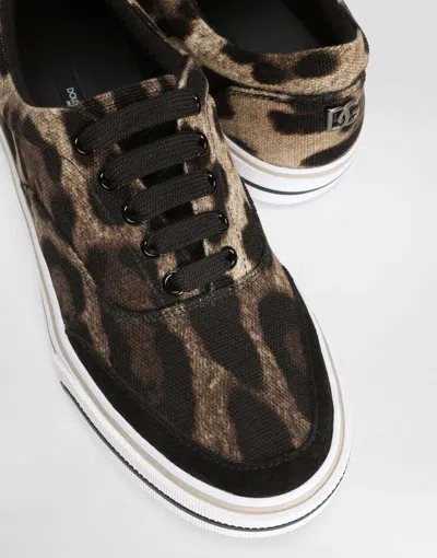 Dolce & Gabbana Leonew Sneaker In Multi