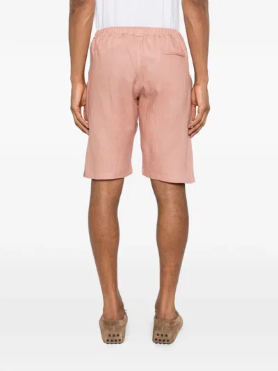 Kiton Drawstring Shorts In Pink
