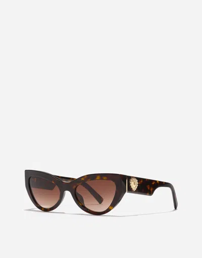 Dolce & Gabbana Devotion Sunglasses In Brown
