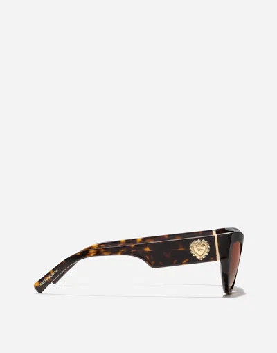 Dolce & Gabbana Devotion Sunglasses In Brown