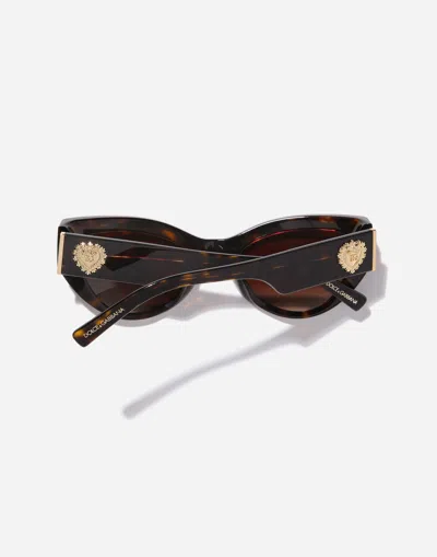 Dolce & Gabbana Devotion Sunglasses In Brown