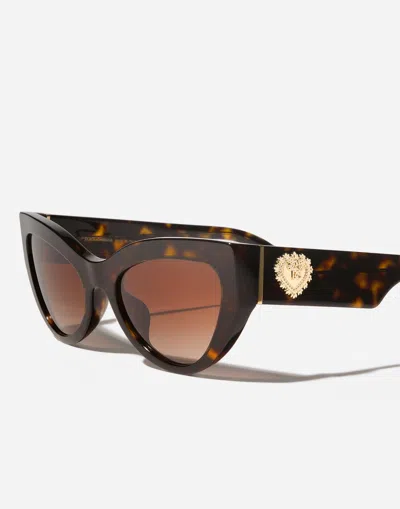 Dolce & Gabbana Devotion Sunglasses In Brown