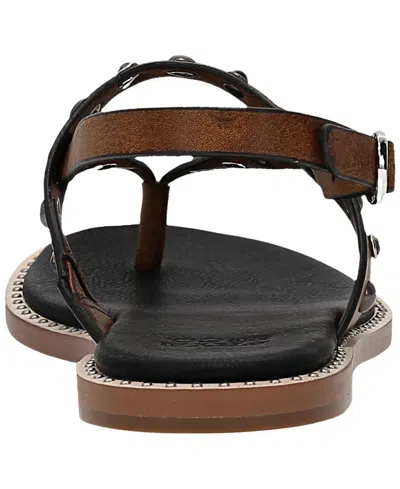 Frye And Co Bucky Studded Thong In Brown