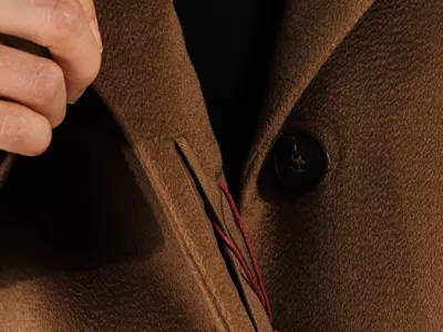 Max Mara Nuevo Coat In Brown