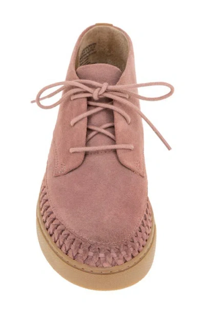 Gentle Souls Cacti Chukka Sneaker In Multi