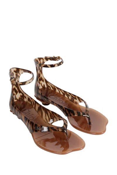 Chloé Jelly Flip-flop Sandals Tropical Print Shell Heel In Brown