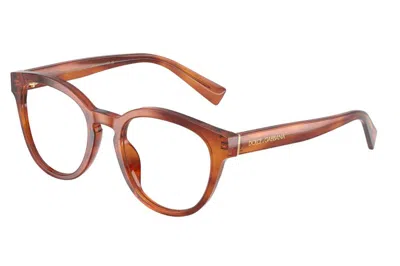Dolce & Gabbana Full Frame Plain Mirror In Brown