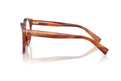 Dolce & Gabbana Full Frame Plain Mirror In Brown