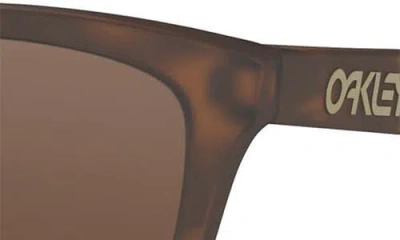 Oakley 55mm Polarized Rectangular Sunglasses In Brown