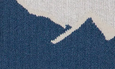Stance Peaking Hike Crew Socks In Blue