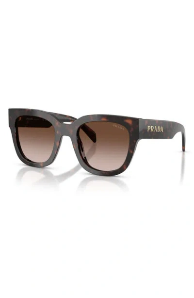 Prada Tortoiseshell Butterfly-frame Sunglasses In Brown
