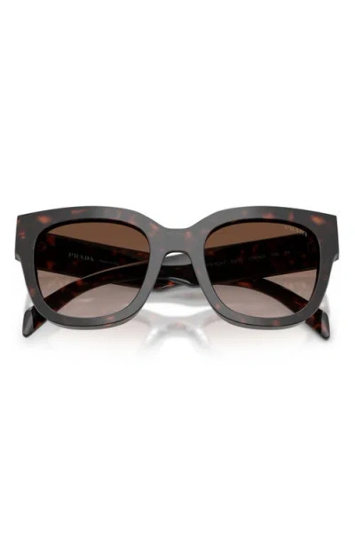 Prada Tortoiseshell Butterfly-frame Sunglasses In Brown