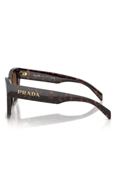 Prada Tortoiseshell Butterfly-frame Sunglasses In Brown