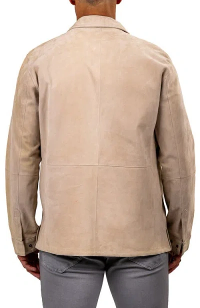 Maceoo Leather Jacket In Brown