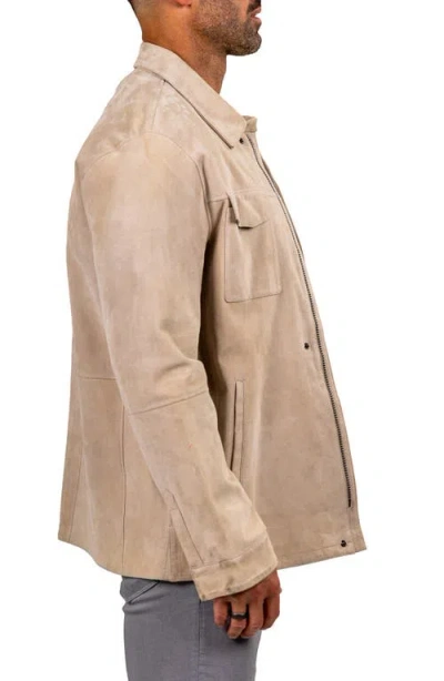 Maceoo Leather Jacket In Brown