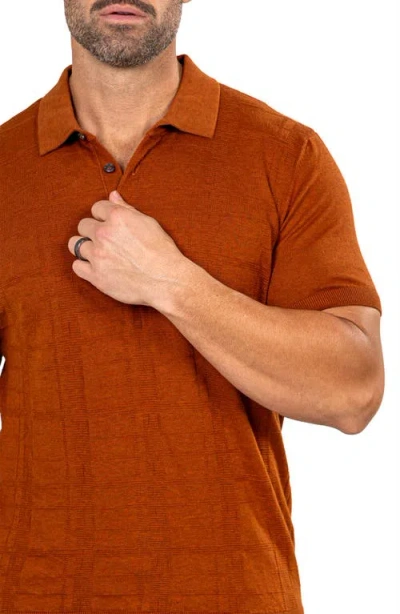 Maceoo Marthy Brown Polo In Brown