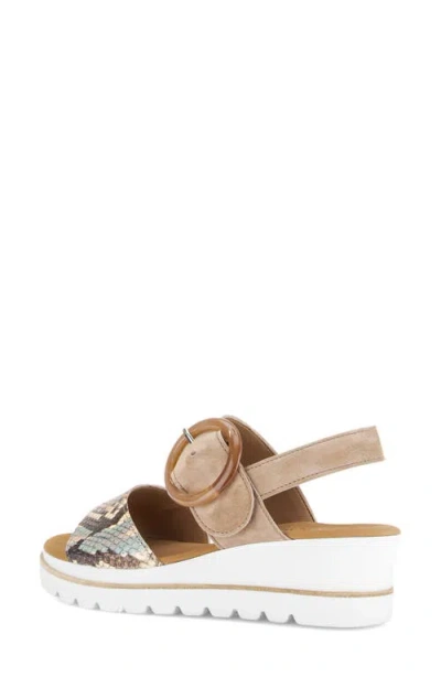 Gabor Ankle Strap Wedge Sandal In Multi