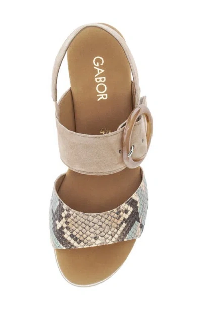 Gabor Ankle Strap Wedge Sandal In Multi