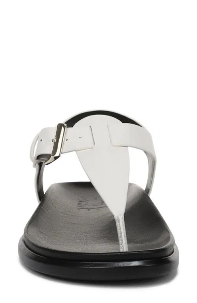 Naturalizer Fab Sandal In Multi