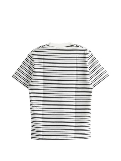 Lacoste Striped Cotton T-shirt In White