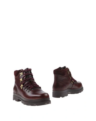 Shop Camper Ankle Boots In Maroon