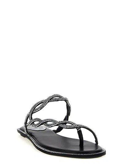 René Caovilla Rene Caovilla Black Flat Braid Sandal 10