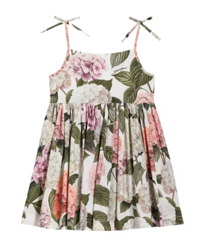 Dolce & Gabbana Hydrangea-print Poplin Dress In Multi
