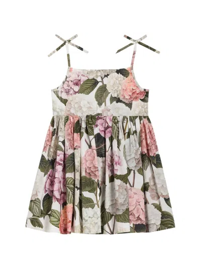 Dolce & Gabbana Hydrangea-print Poplin Dress In Multi