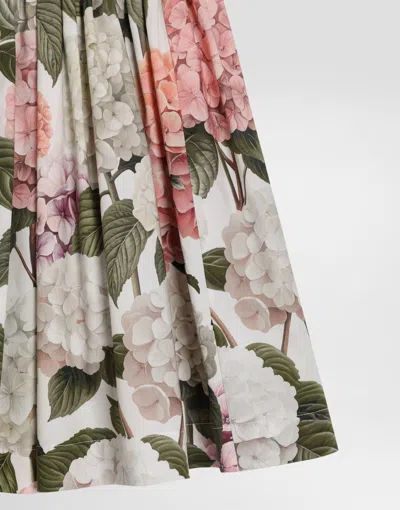 Dolce & Gabbana Hydrangea-print Poplin Dress In Multi