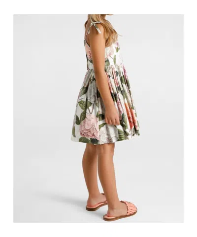 Dolce & Gabbana Hydrangea-print Poplin Dress In Multi