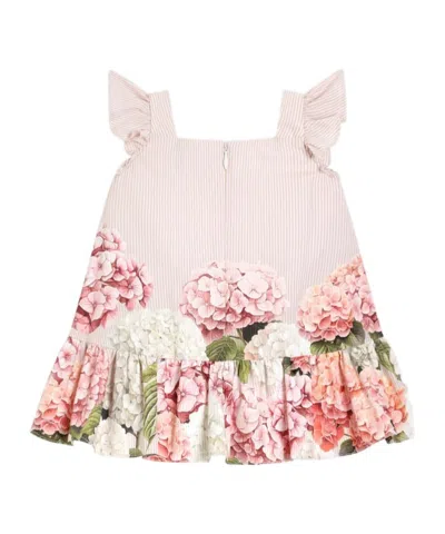 Dolce & Gabbana Hydrangea-print Striped Cotton Canvas Dress In Pink