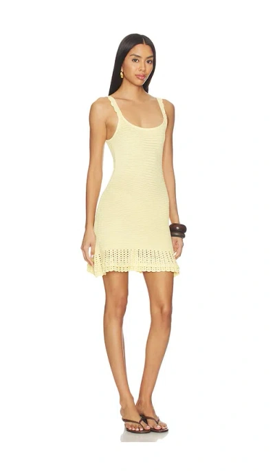 Devon Windsor Willamina Dress In Yellow