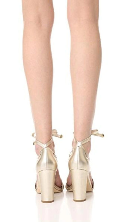 Shop Diane Von Furstenberg Calabar Sandals In Gold