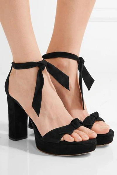 Shop Alexandre Birman Clarita Bow-embellished Suede Sandals