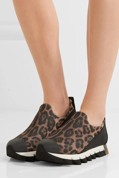 Shop Dolce & Gabbana Ibiza Leopard-print Neoprene Slip-on Sneakers