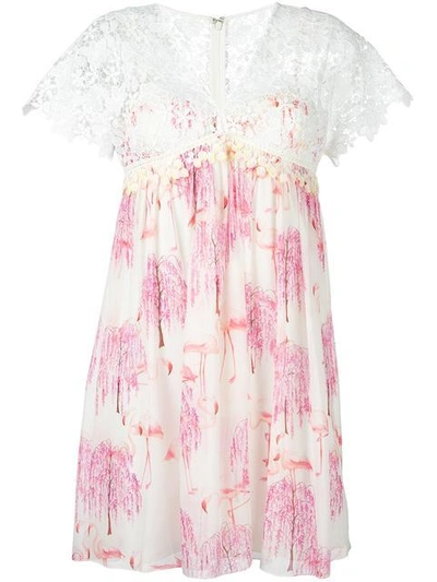Giamba Printed Silk And Lace Dress In White Pink