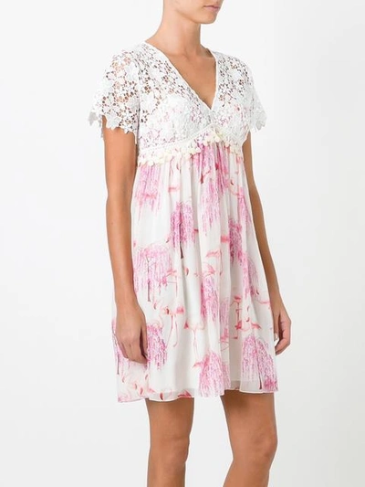 Shop Giamba Floral Lace Babydoll Dress