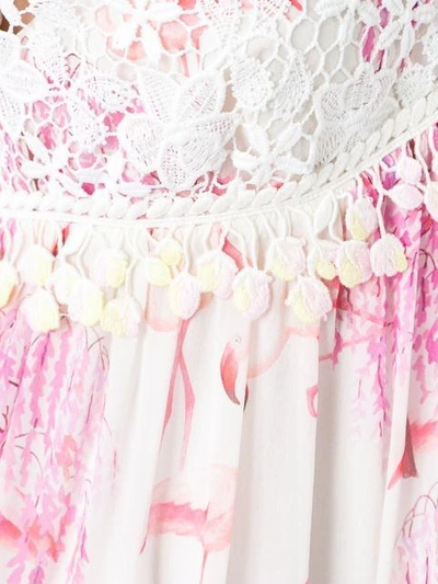 Shop Giamba Floral Lace Babydoll Dress