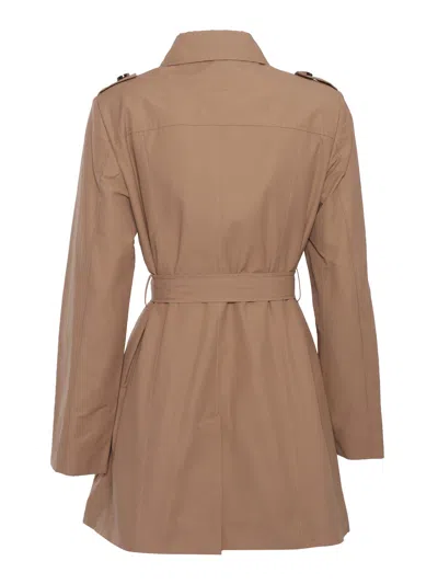 Max&amp;co. Jackets In Brown