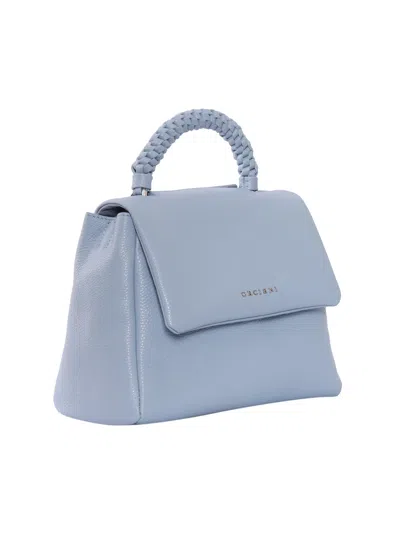 Orciani Handbag In Blue