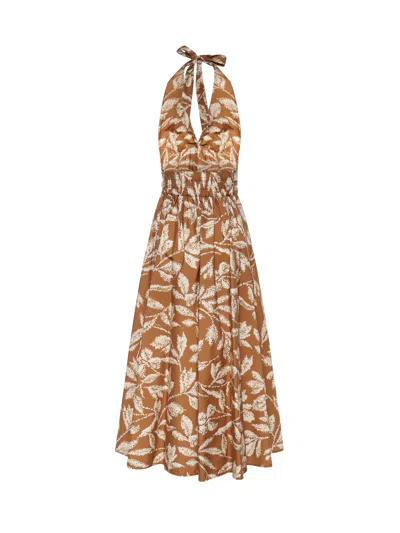 Max Mara Halterneck Printed Cotton Midi Dress In Brown