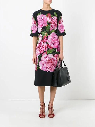 Shop Dolce & Gabbana Rose Print Cady Dress
