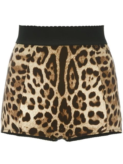 Dolce & Gabbana Leopard Print French Knickers In Brown