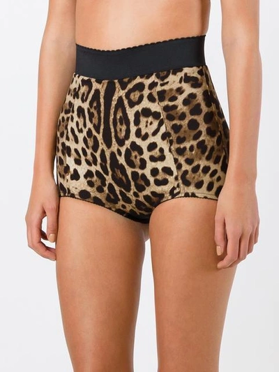 Shop Dolce & Gabbana Leopard Print French Knickers In Brown