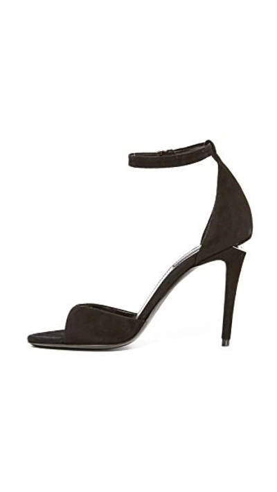 Shop Alexander Wang Tilda Sandals In Black