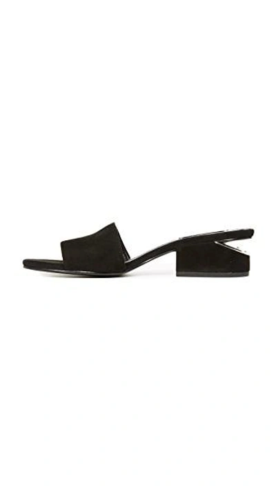 Shop Alexander Wang Lou Mules In Black/rhodium