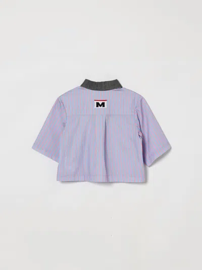 Msgm Striped Shirt In Blue